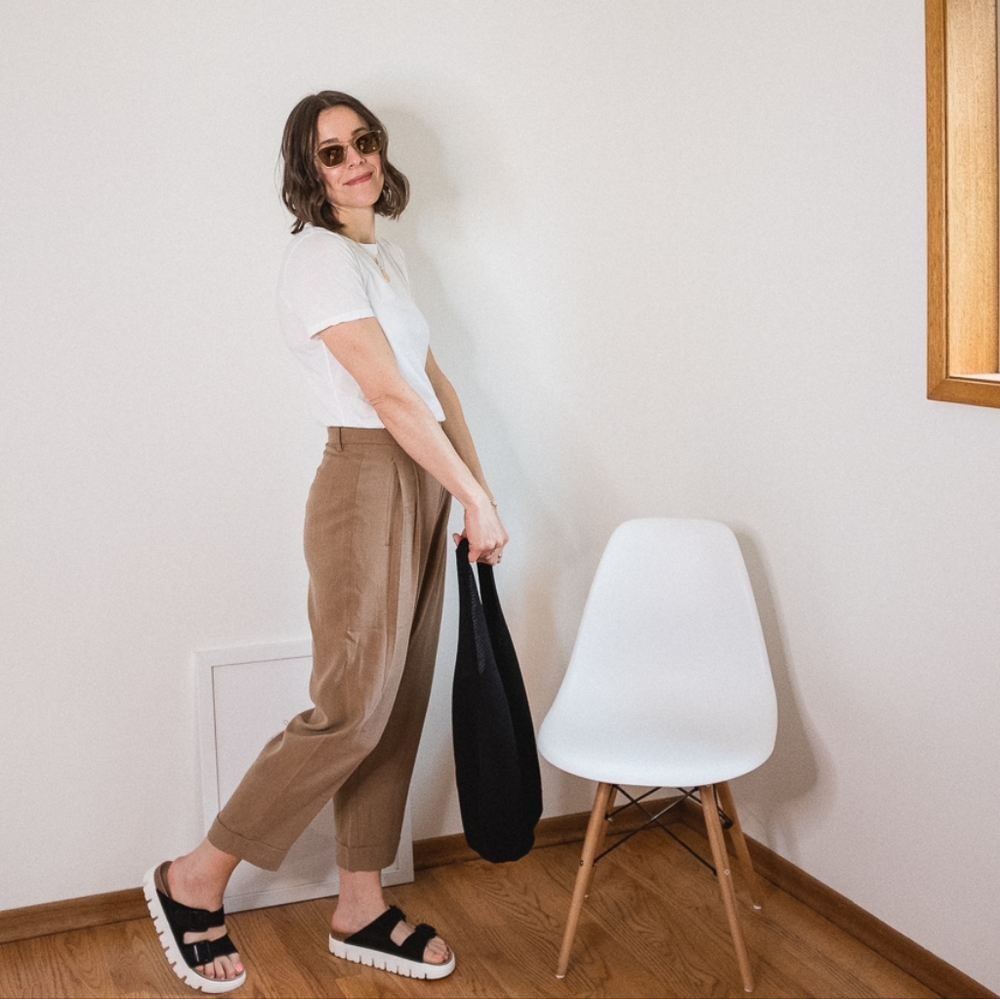 Everlane Put Together Pleat Pant